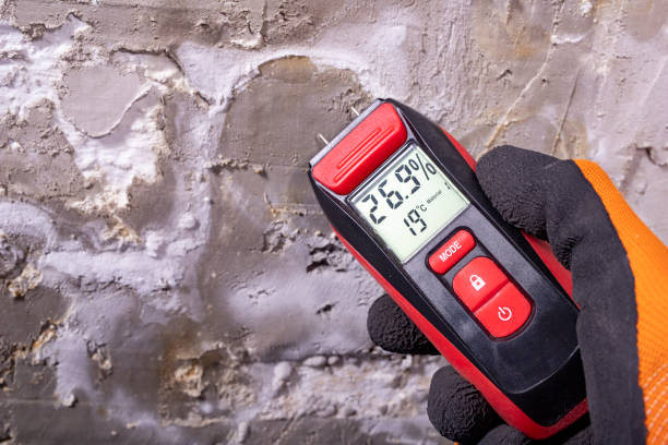 Trusted Channel Islands Beach, CA Mold Removal Experts