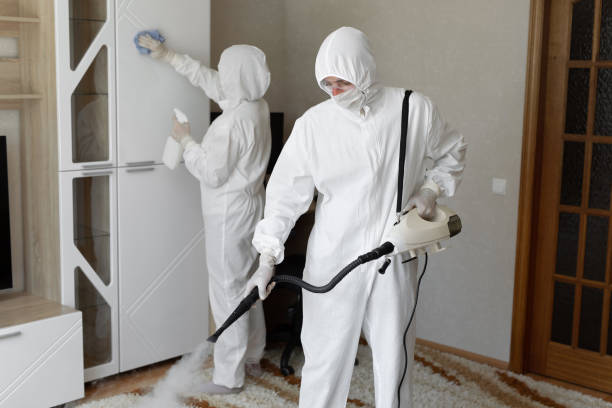 Mold Removal Process in Channel Islands Beach, CA
